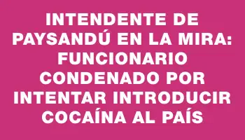 Intendente de Paysandú en la mira: funcionario condenado por intentar introducir cocaína al país