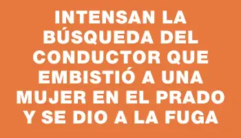 Intensan la búsqueda del conductor que embistió a una mujer en el Prado y se dio a la fuga