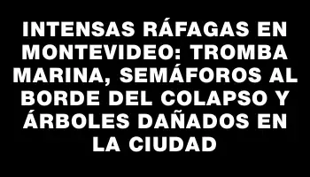 Intensas ráfagas en Montevideo: tromba marina, semáforos al borde del colapso y árboles dañados en la ciudad