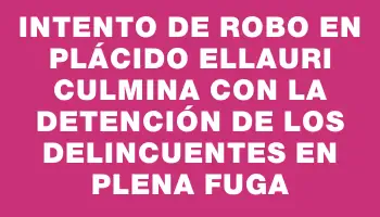 Intento de robo en Plácido Ellauri culmina con la detención de los delincuentes en plena fuga