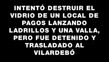 Intentó destruir el vidrio de un local de pagos lanzando ladrillos y una valla, pero fue detenido y trasladado al Vilardebó