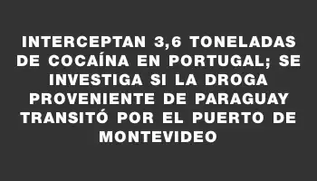 Interceptan 3,6 toneladas de cocaína en Portugal; se investiga si la droga proveniente de Paraguay transitó por el puerto de Montevideo