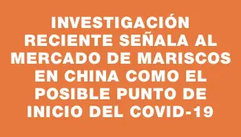 Investigación reciente señala al mercado de mariscos en China como el posible punto de inicio del Covid-19