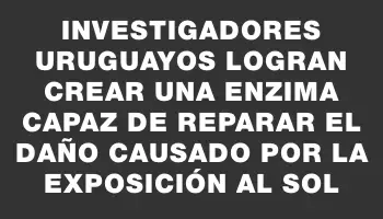 Investigadores uruguayos logran crear una enzima capaz de reparar el daño causado por la exposición al sol