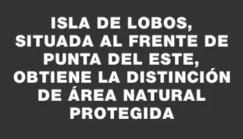 Isla de Lobos, situada al frente de Punta del Este, obtiene la distinción de Área Natural Protegida