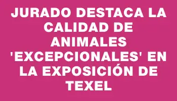 Jurado destaca la calidad de animales “excepcionales” en la exposición de Texel