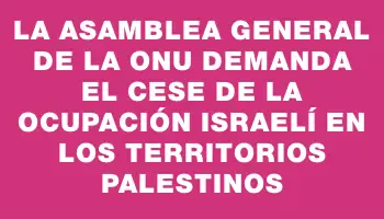 La Asamblea General de la Onu demanda el cese de la ocupación israelí en los territorios palestinos