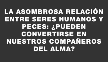 La asombrosa relación entre seres humanos y peces: ¿pueden convertirse en nuestros compañeros del alma?