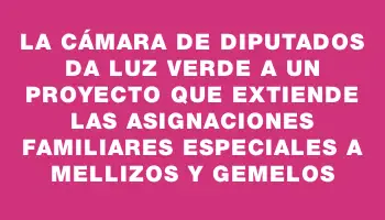 La Cámara de Diputados da luz verde a un proyecto que extiende las asignaciones familiares especiales a mellizos y gemelos