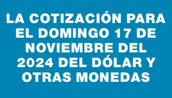 La cotización para el Domingo 17 de noviembre del 2024 del dólar y otras monedas