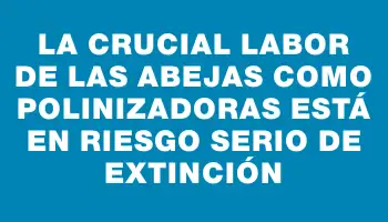 La crucial labor de las abejas como polinizadoras está en riesgo serio de extinción