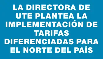 La directora de Ute plantea la implementación de tarifas diferenciadas para el norte del país