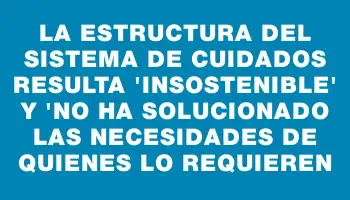 La estructura del sistema de cuidados resulta 