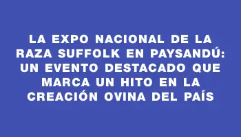 La Expo Nacional de la raza Suffolk en Paysandú: un evento destacado que marca un hito en la creación ovina del país