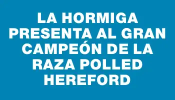 La Hormiga presenta al Gran Campeón de la raza Polled Hereford