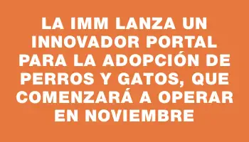 La Imm lanza un innovador portal para la adopción de perros y gatos, que comenzará a operar en noviembre