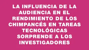 La influencia de la audiencia en el rendimiento de los chimpancés en tareas tecnológicas sorprende a los investigadores