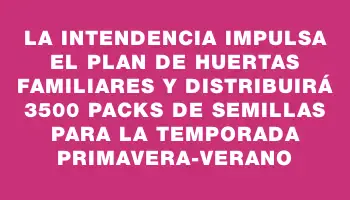 La Intendencia impulsa el Plan de Huertas Familiares y distribuirá 3500 packs de semillas para la temporada primavera-verano