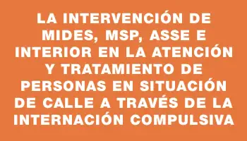 La intervención de Mides, Msp, Asse e Interior en la atención y tratamiento de personas en situación de calle a través de la internación compulsiva