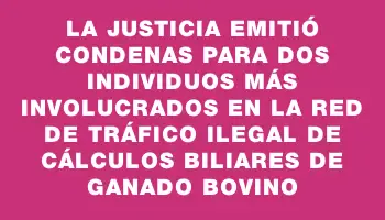 La Justicia emitió condenas para dos individuos más involucrados en la red de tráfico ilegal de cálculos biliares de ganado bovino