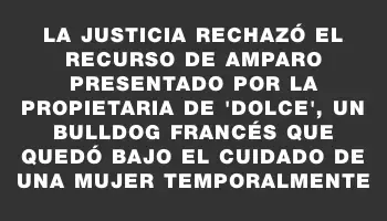 La justicia rechazó el recurso de amparo presentado por la propietaria de 