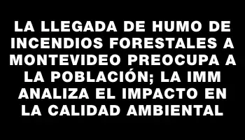 La llegada de humo de incendios forestales a Montevideo preocupa a la población; la Imm analiza el impacto en la calidad ambiental