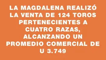 La Magdalena realizó la venta de 124 toros pertenecientes a cuatro razas, alcanzando un promedio comercial de U$s 3.749