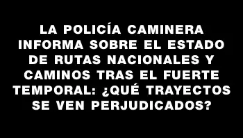 La Policía Caminera informa sobre el estado de rutas nacionales y caminos tras el fuerte temporal: ¿Qué trayectos se ven perjudicados?