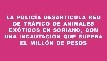 La Policía desarticula red de tráfico de animales exóticos en Soriano, con una incautación que supera el millón de pesos