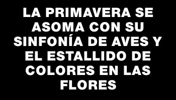 La primavera se asoma con su sinfonía de aves y el estallido de colores en las flores