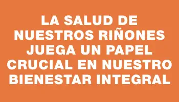 La salud de nuestros riñones juega un papel crucial en nuestro bienestar integral