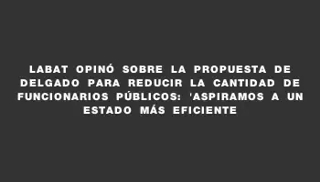 Labat opinó sobre la propuesta de Delgado para reducir la cantidad de funcionarios públicos: 