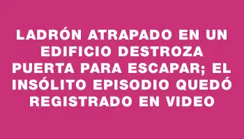 Ladrón atrapado en un edificio destroza puerta para escapar; el insólito episodio quedó registrado en video