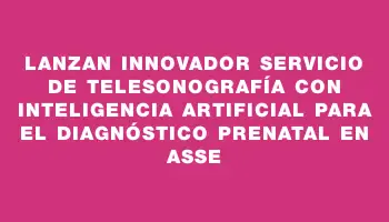 Lanzan Innovador Servicio de Telesonografía con Inteligencia Artificial para el Diagnóstico Prenatal en Asse