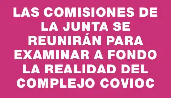 Las comisiones de la Junta se reunirán para examinar a fondo la realidad del complejo Covioc