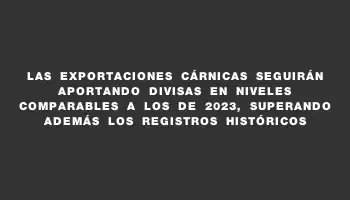 Las exportaciones cárnicas seguirán aportando divisas en niveles comparables a los de 2023, superando además los registros históricos