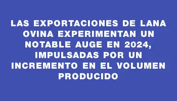 Las exportaciones de lana ovina experimentan un notable auge en 2024, impulsadas por un incremento en el volumen producido