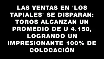 Las ventas en “Los Tapiales” se disparan: toros alcanzan un promedio de U$s 4.150, logrando un impresionante 100% de colocación