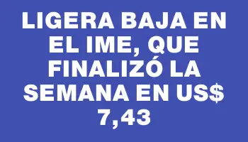 Ligera baja en el Ime, que finalizó la semana en Us$ 7,43