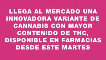 Llega al mercado una innovadora variante de cannabis con mayor contenido de Thc, disponible en farmacias desde este martes