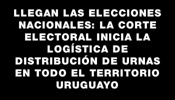 Llegan las elecciones nacionales: La Corte Electoral inicia la logística de distribución de urnas en todo el territorio uruguayo