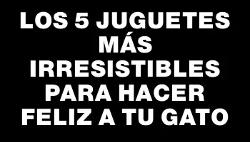 Los 5 juguetes más irresistibles para hacer feliz a tu gato