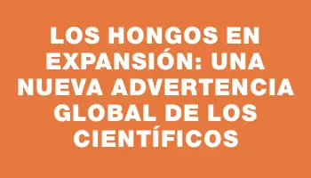 Los hongos en expansión: una nueva advertencia global de los científicos