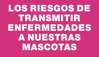 Los riesgos de transmitir enfermedades a nuestras mascotas