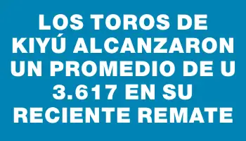 Los Toros de Kiyú alcanzaron un promedio de U$s 3.617 en su reciente remate