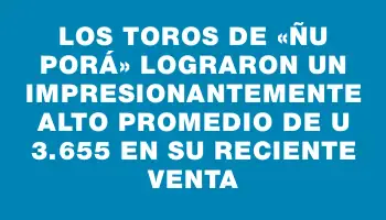 Los toros de «Ñu Porá» lograron un impresionantemente alto promedio de U$s 3.655 en su reciente venta