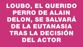 Loubo, el querido perro de Alain Delon, se salvará de la eutanasia tras la decisión del actor