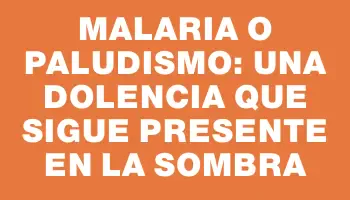 Malaria o paludismo: Una dolencia que sigue presente en la sombra