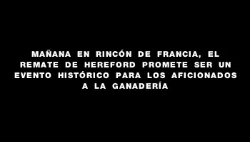 Mañana en Rincón de Francia, el remate de Hereford promete ser un evento histórico para los aficionados a la ganadería