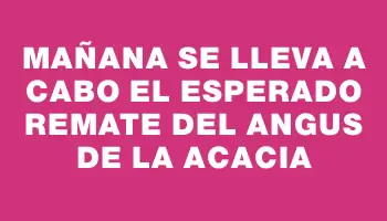 Mañana se lleva a cabo el esperado remate del Angus de La Acacia